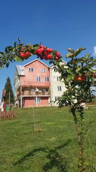 Фото Хостелы Casa Cota 1200 г. Мэришел